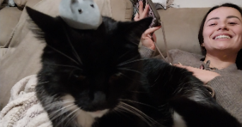 mihaela pet sitter à AURAY 56400_0