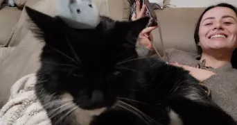 mihaela pet sitter à AURAY 56400