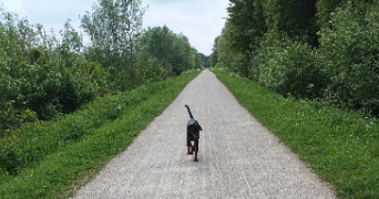 stéphanie pet sitter à DEULEMONT 59890_8