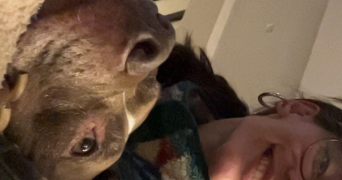 shona pet sitter à NICE 06000_3