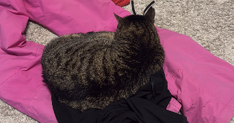 emeline pet sitter à Paris 75014_0