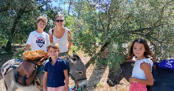 pierre pet sitter à ST MALO 35400