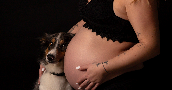 olivia pet sitter à SEVREMOINE 49230_2