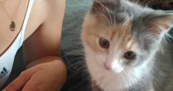 laura pet sitter à TOULOUSE 31000_6