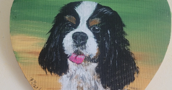 marie laure dog sitter à COMPIEGNE 60200_6