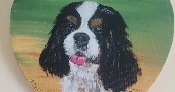 marie laure dog sitter à COMPIEGNE 60200