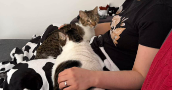 alexandra cat sitter à SURESNES 92150_2