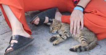 noreen pet sitter à MARTRES TOLOSANE 31220_2
