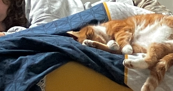 leilani pet sitter à NOGENT SUR MARNE 94130_3