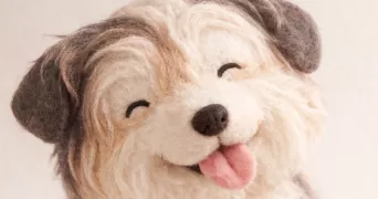 candice pet sitter à ST AUBIN DES ORMEAUX 85130