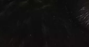 christel pet sitter à PARIS 13 75013