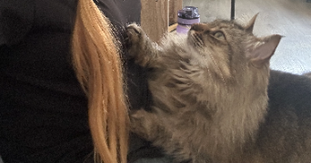 océane pet sitter à VERDUN 55100_2