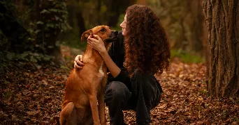 lou pet sitter à VERFEIL 31590