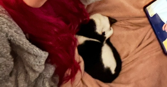 sohanne pet sitter à NANCY 54000_2