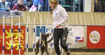 rachel pet sitter à MONT ST AIGNAN 76130