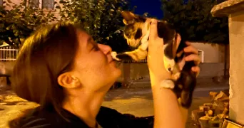 ismigyul pet sitter à SEVRAN 93270