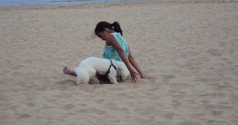 marine pet sitter à ST BREVIN LES PINS 44250_2