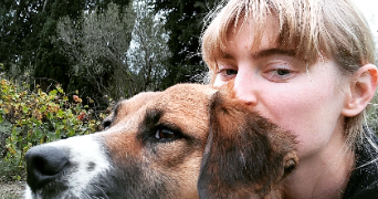 ewaëlle pet sitter à CARPENTRAS 84200_0