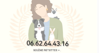 solène pet sitter à ST MALO DE BEIGNON 56380_8