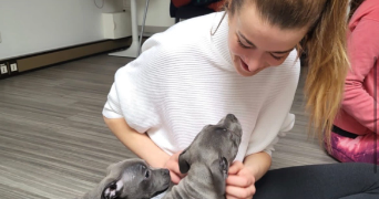 amandine pet sitter à STRASBOURG 67000_4