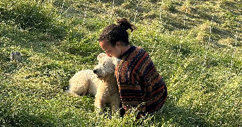 kenza pet sitter à TOULOUSE 31500