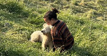 kenza pet sitter à TOULOUSE 31500