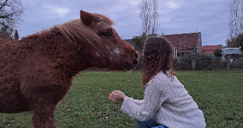 justine pet sitter à Bourges 18000_4