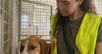 amélie pet sitter à METZ 57070_3