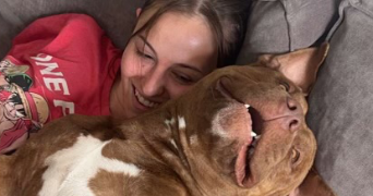 camille pet sitter à ALENYA 66200_0