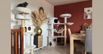 carolane pet sitter à POMPONNE  77400_6