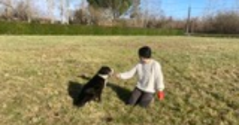 wei pet sitter à TOULOUSE 31100_0