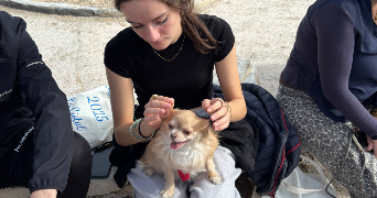 inès pet sitter à GAGNY 93220_5