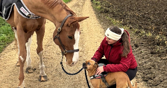 lyson pet sitter à ARQUES 62510_1