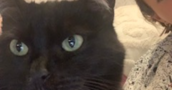 marie-ly pet sitter à GUILHERAND GRANGES 07500_3