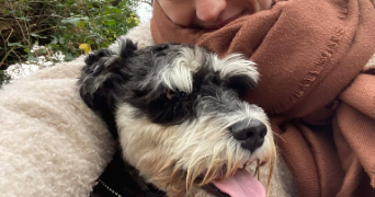 chloé pet sitter à ROUEN 76000_2