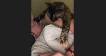 melanie pet sitter à PACY SUR ARMANCON 89160_1