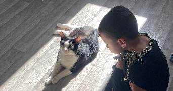 saadia cat sitter à CHATENAY MALABRY 92290_4