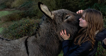 colombe pet sitter à PARIS 16 75016_0