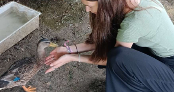 alexane pet sitter à VIMY 62580_5