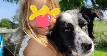 céline pet sitter à QUIMPERLE 29300