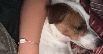 aya pet sitter à AIX EN PROVENCE 13540_1