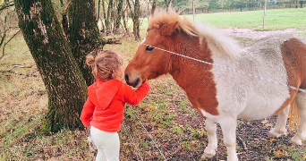 laury pet sitter à MACHECOUL ST MEME 44270_2