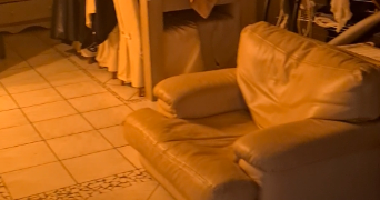 christopher pet sitter à Ivry-le-Temple 60173_4