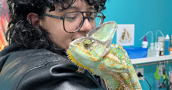 martin pet sitter à ALFORTVILLE 94140_3