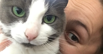 coralie pet sitter à LIMOGES 87000