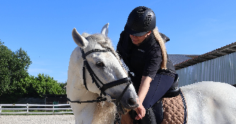 clara pet sitter à KINGERSHEIM 68260_0