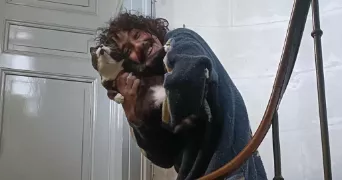 quentin  pet sitter à SAUMUR 49400