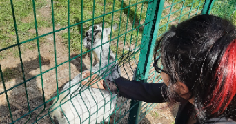 elise pet sitter à GOURNAY SUR MARNE 93460_2