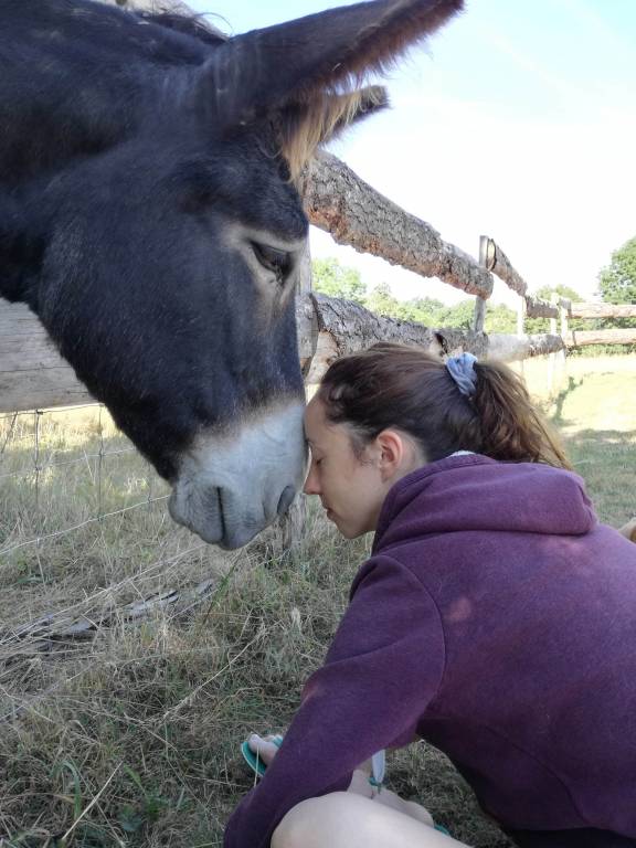 Jennifer pet sitter à Mégrit 22270