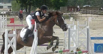 sandy pet sitter à POISVILLIERS 28300